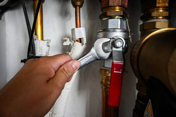 Best Residential Plumbing Services  in Elysburg, PA